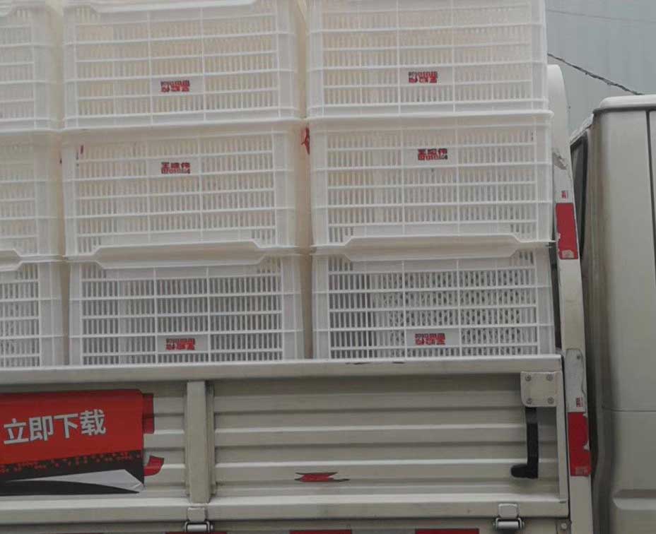 周轉筐合作案例